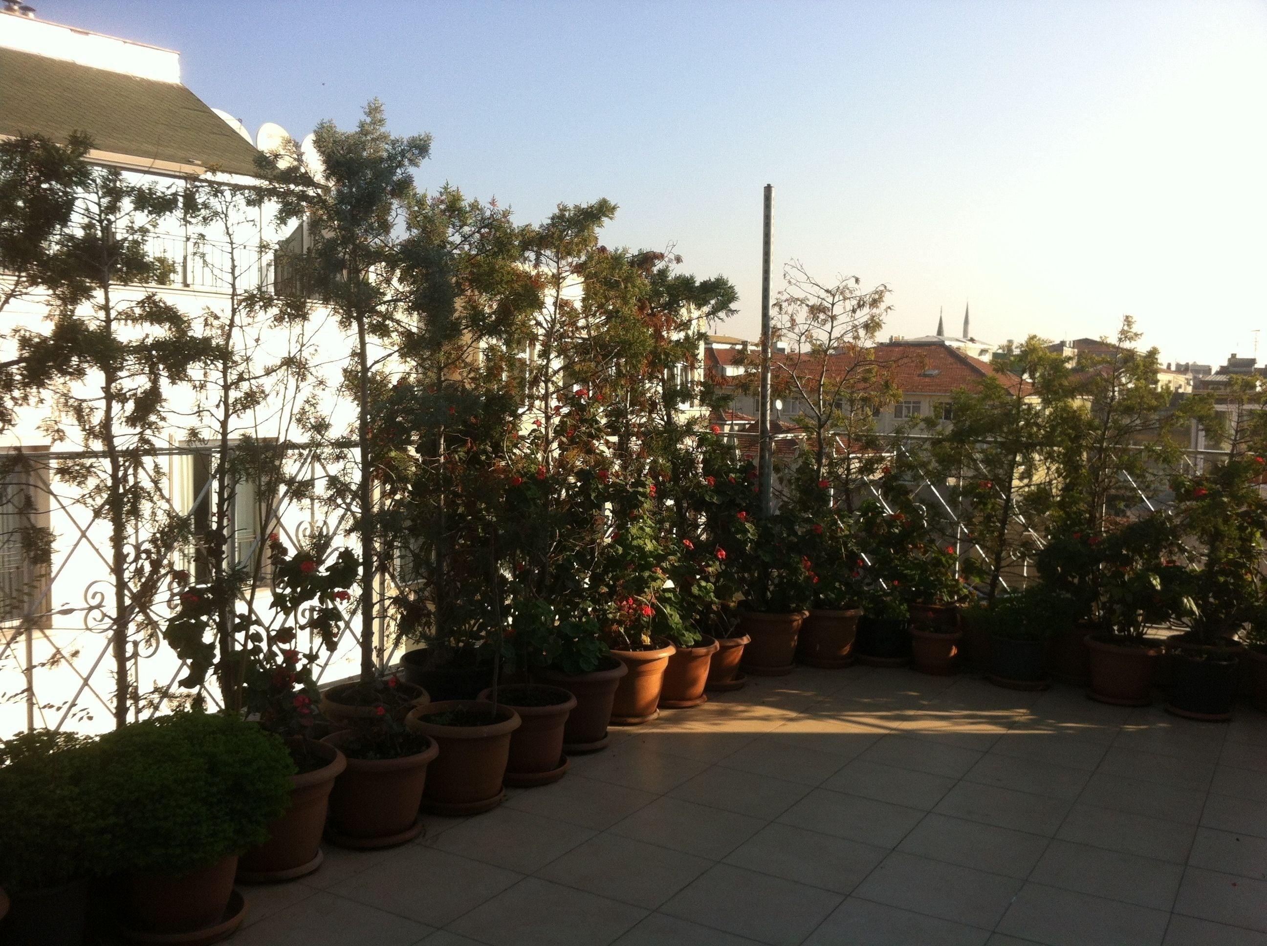 Hotel Linda — Foto 2